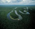 Rio Amazonas, Orta Amazon, Brezilya karmaşık korunması